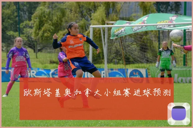 欧斯塔基奥加拿大小组赛进球预测